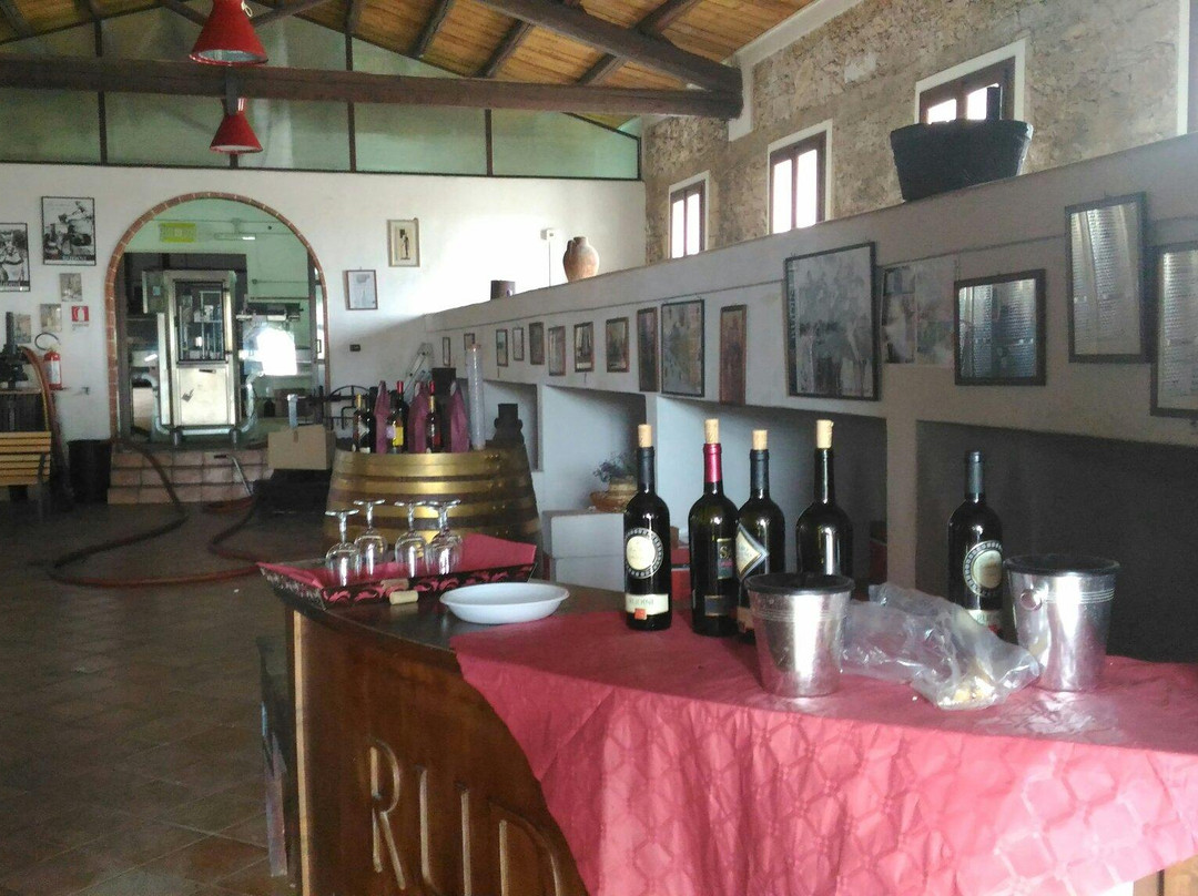 Casa Vinicola Feudo Rudinì景点图片