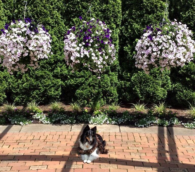 Michigan State University Horticultural Gardens景点图片