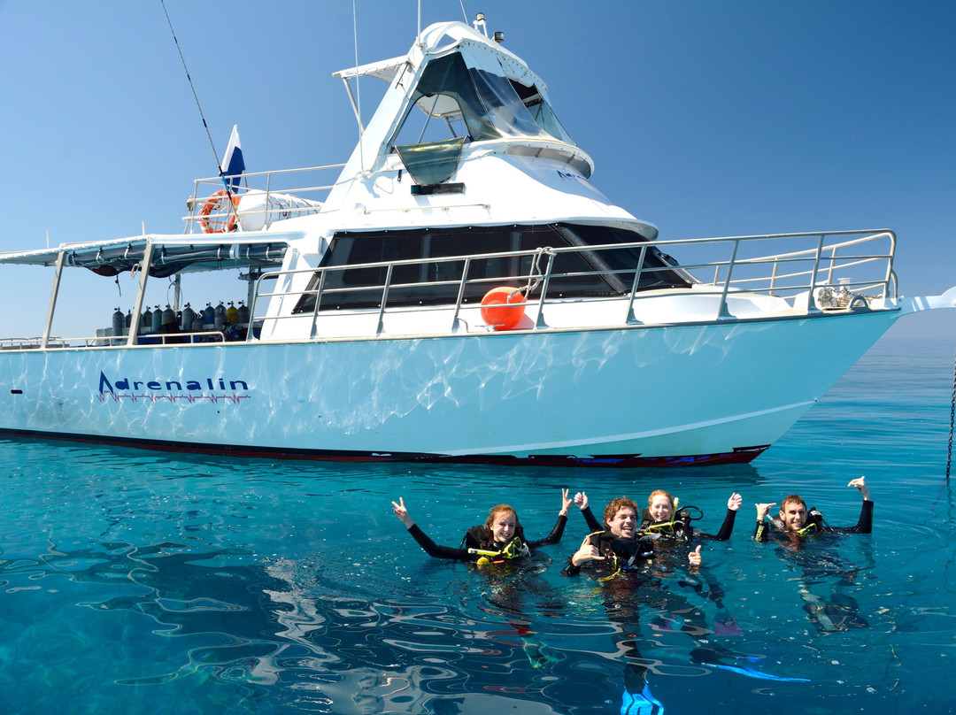 Adrenalin Snorkel and Dive-汤斯维尔必去景点