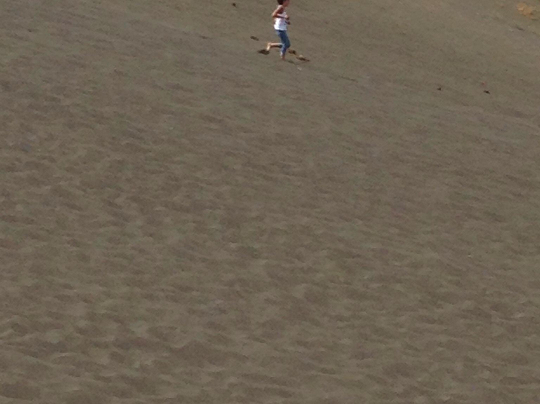 Cerro de Arena-Constitucion必去景点