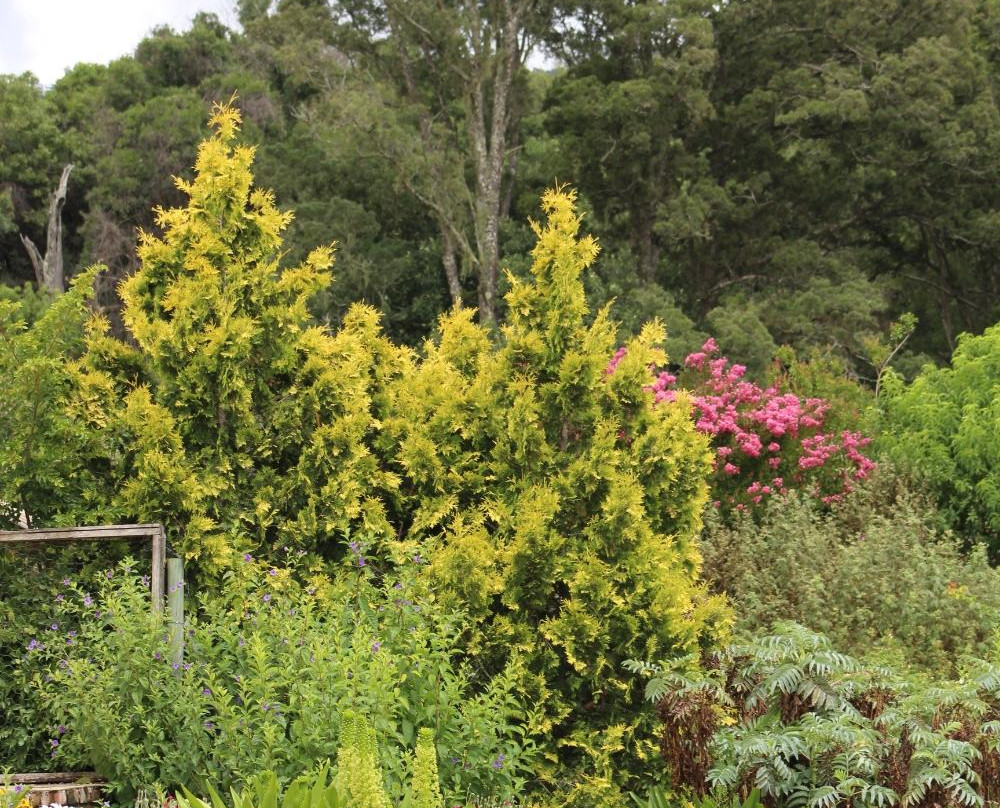 Hornbills Forest Getaway主图