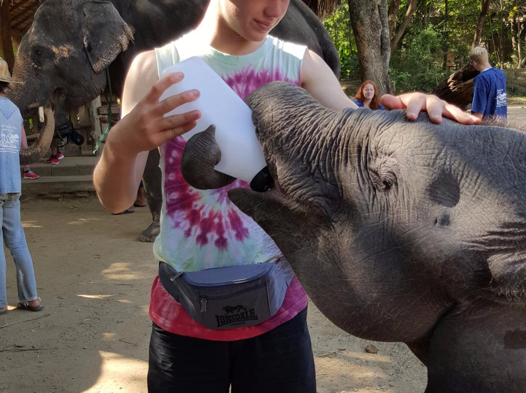 Chiangmai Survey - Private Day Tours-清迈必去景点