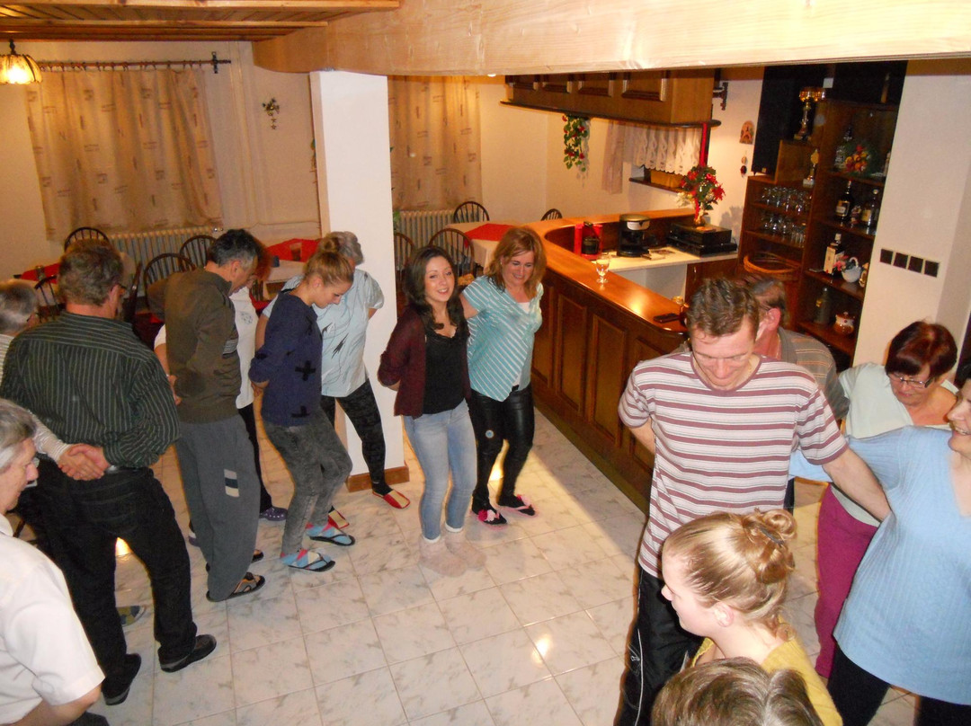 Velka Frankova酒店住宿-Penzion u Aleny