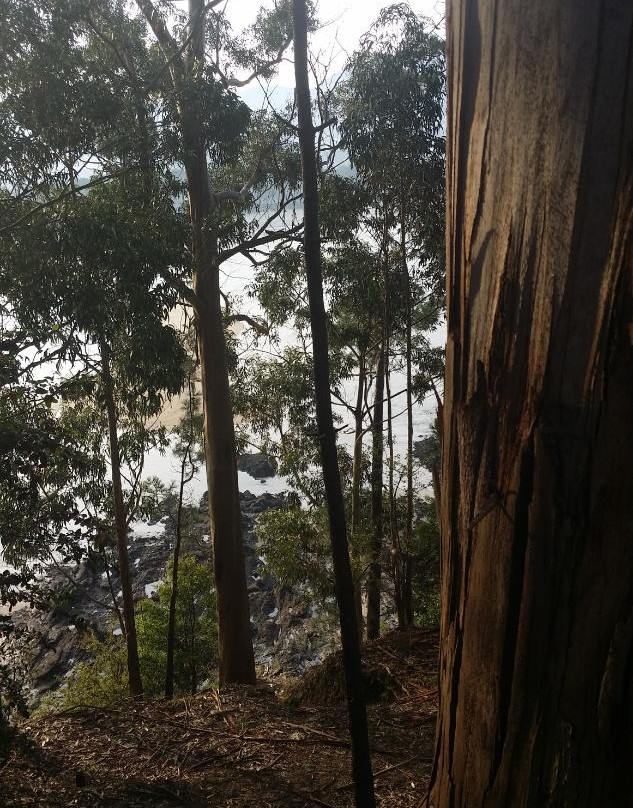 Mirador Monte Lourido-尼格兰必去景点