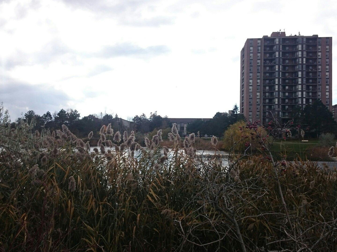 Lake Aquitaine Park-米西索加必去景点