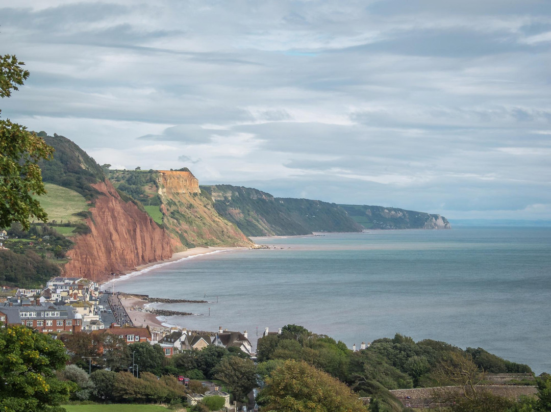 Salcombe Hill Walk景点图片