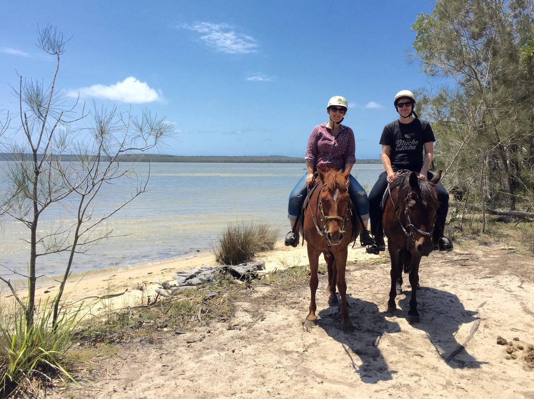 Noosa Horse Riding景点图片