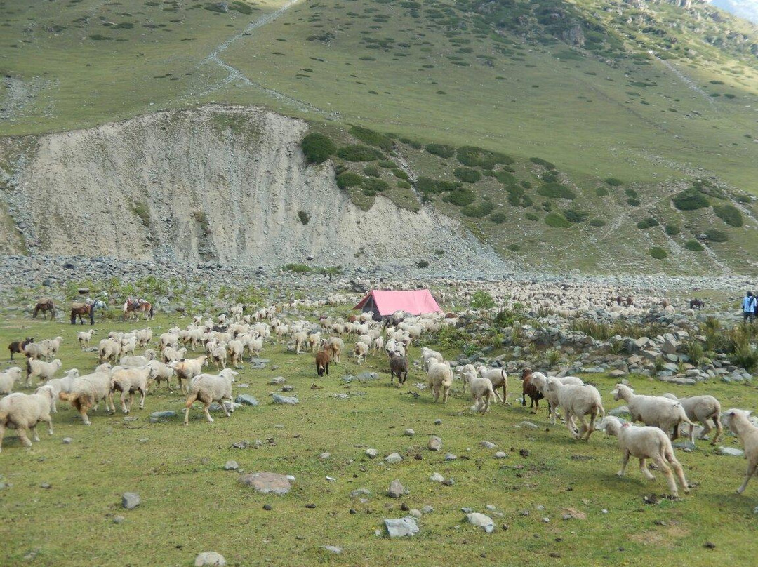 Tarsar Lake景点图片