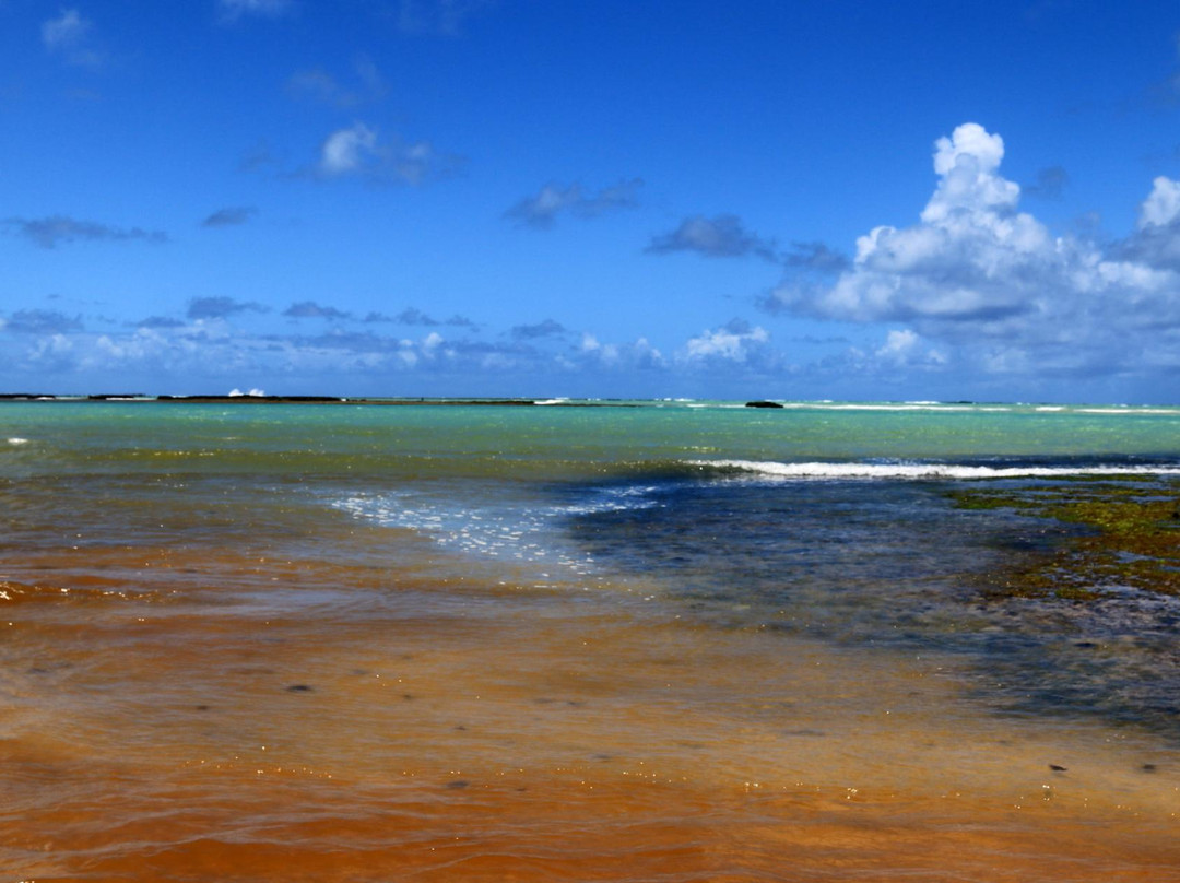 Riacho Beach景点图片