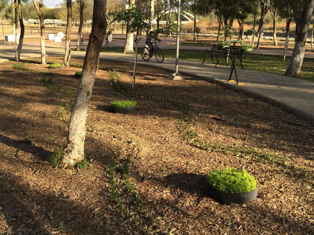 Parque La Costanera-塔里哈必去景点