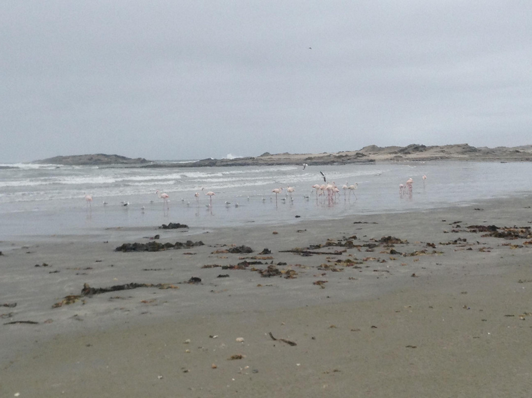 Dias Cross (1488)-吕德里茨必去景点