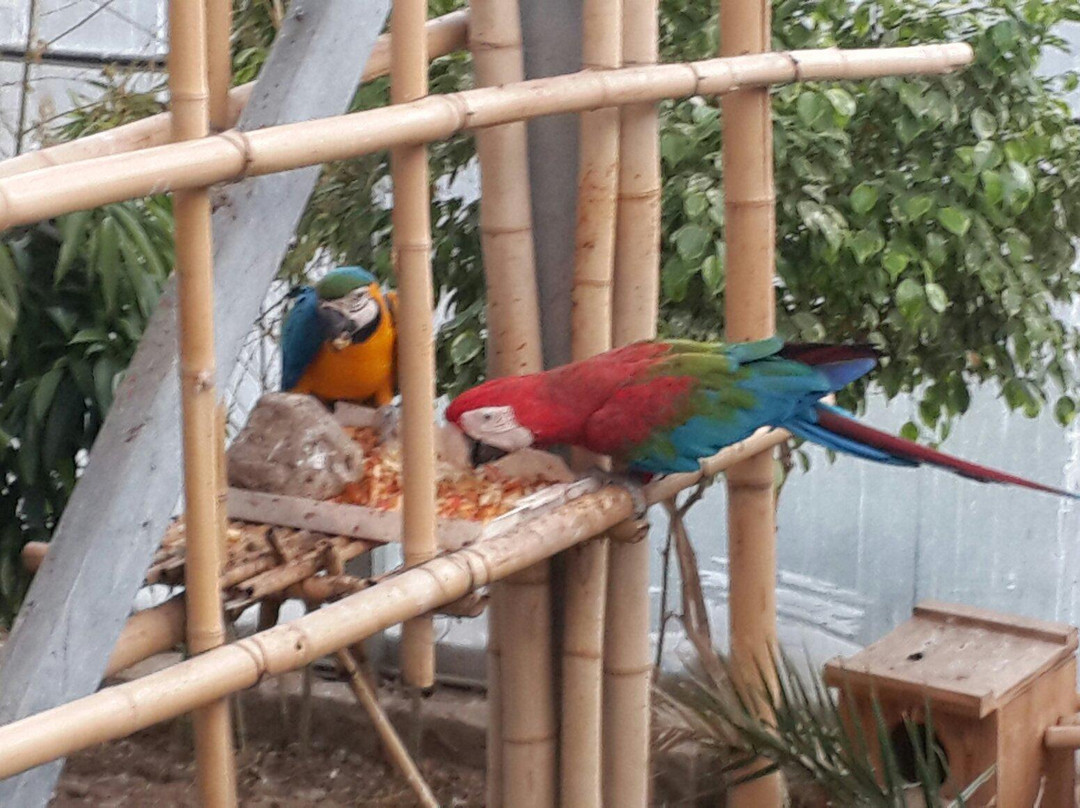 Tehran Bird Garden景点图片