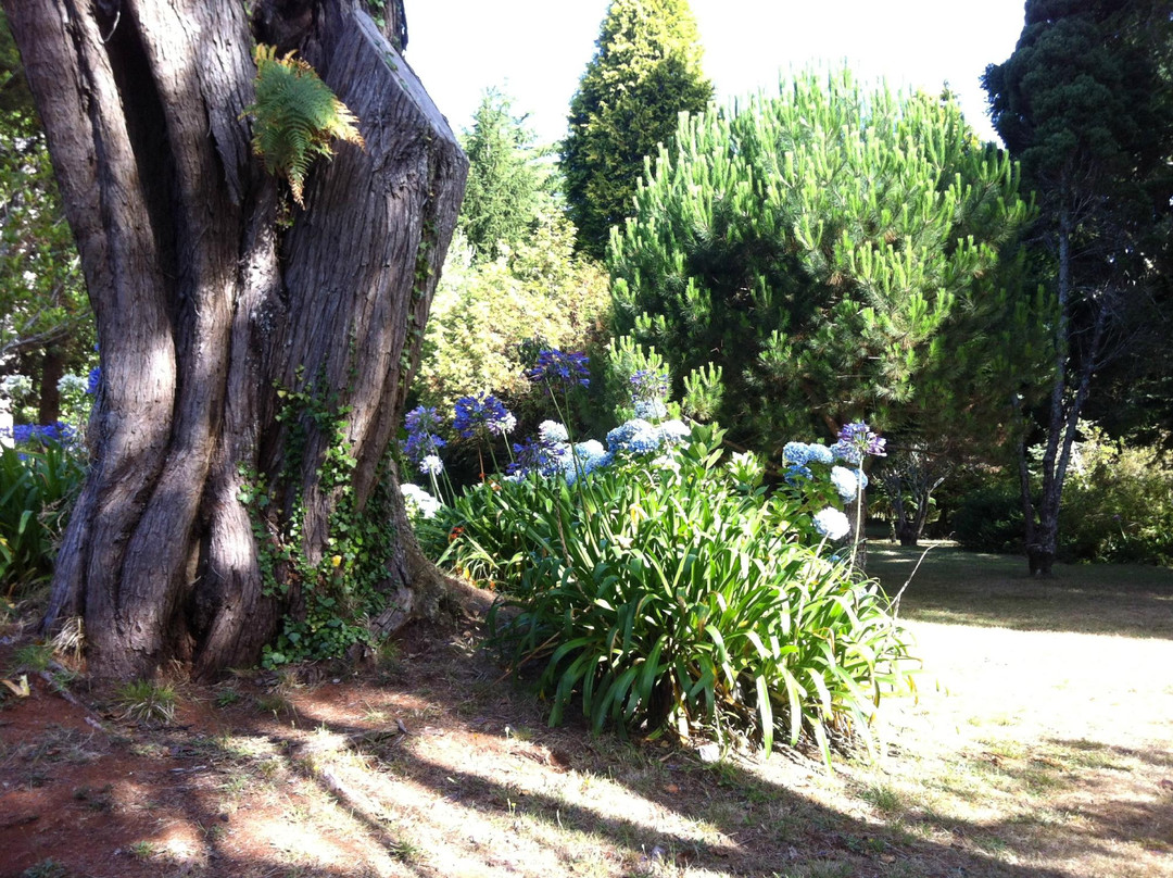 Quinta da Junta Garden-Santo Antonio da Serra必去景点