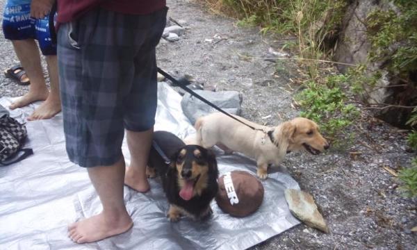 穴吹蓝色别墅酒店-客卧