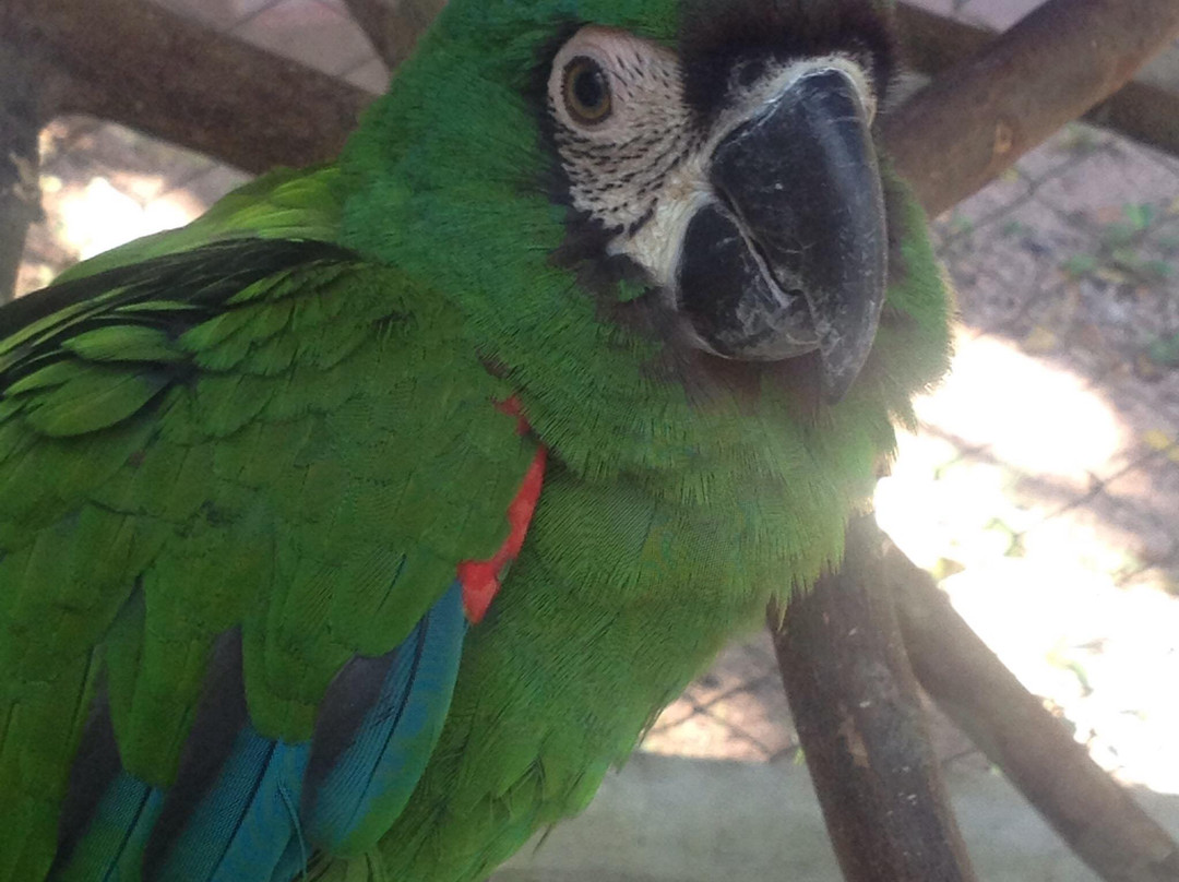 Zhaveta Yard-拉梅尔塞必去景点