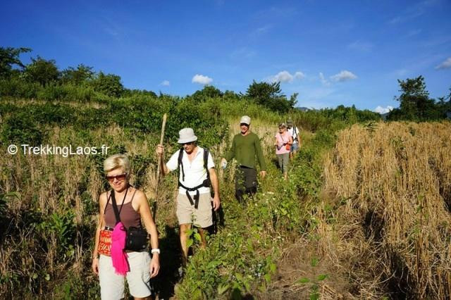 Trekking Laos - Day Tours-琅勃拉邦必去景点