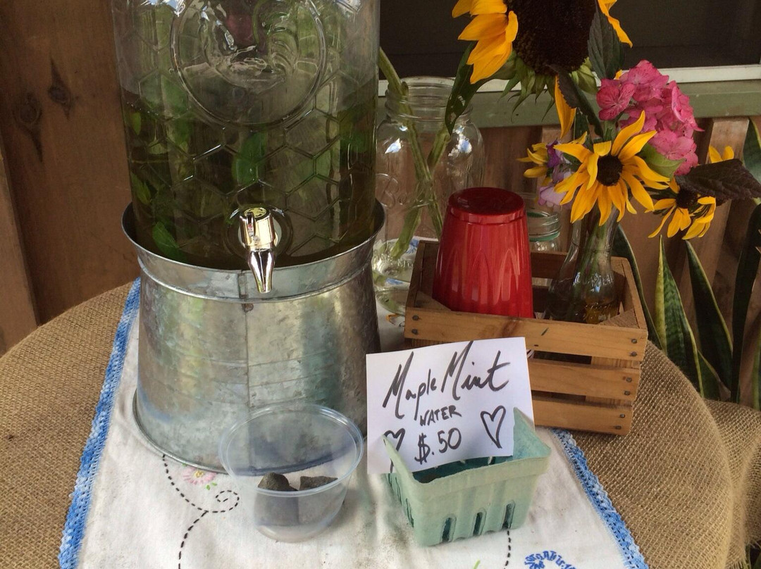 Bird Haven Blueberry Farm景点图片