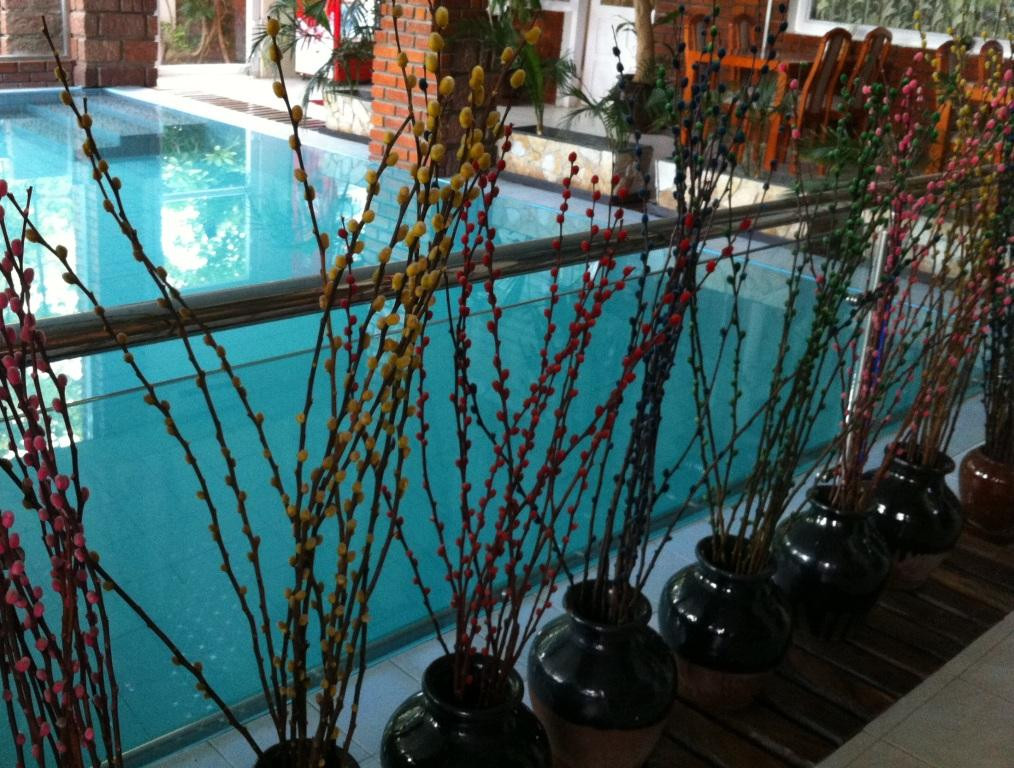 Hotel Mega Stars主图