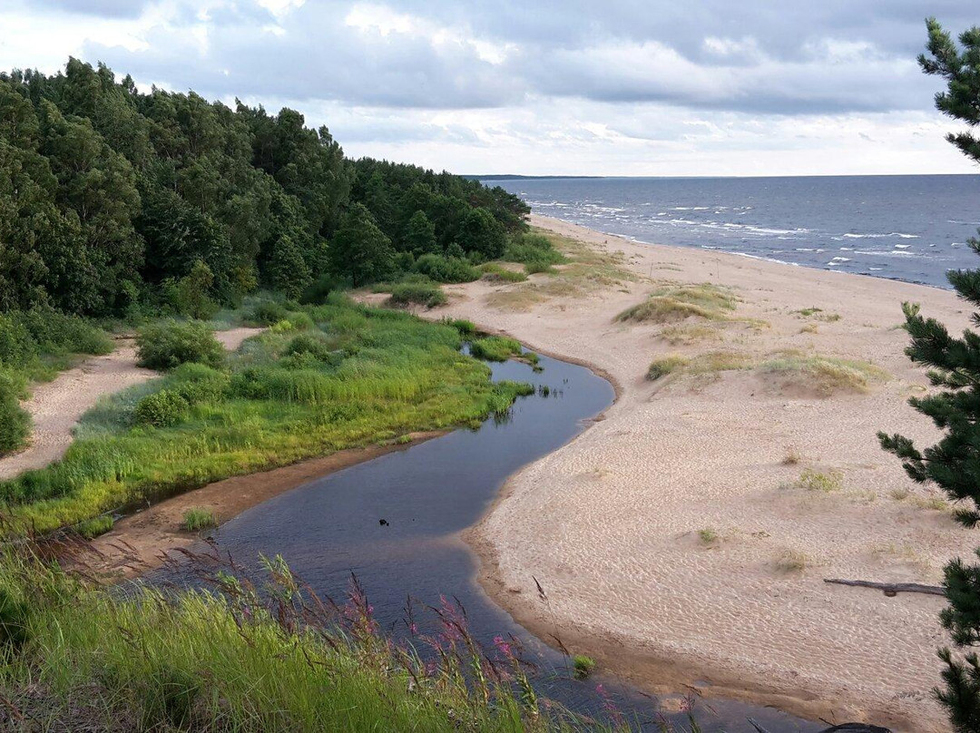 Saulkrasti旅游攻略图片