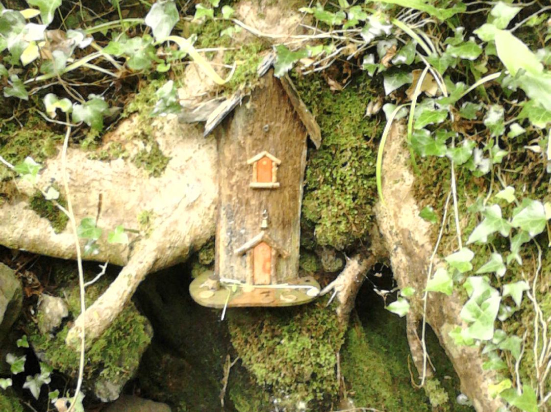 Irish Fairy Trails-Caherdaniel必去景点