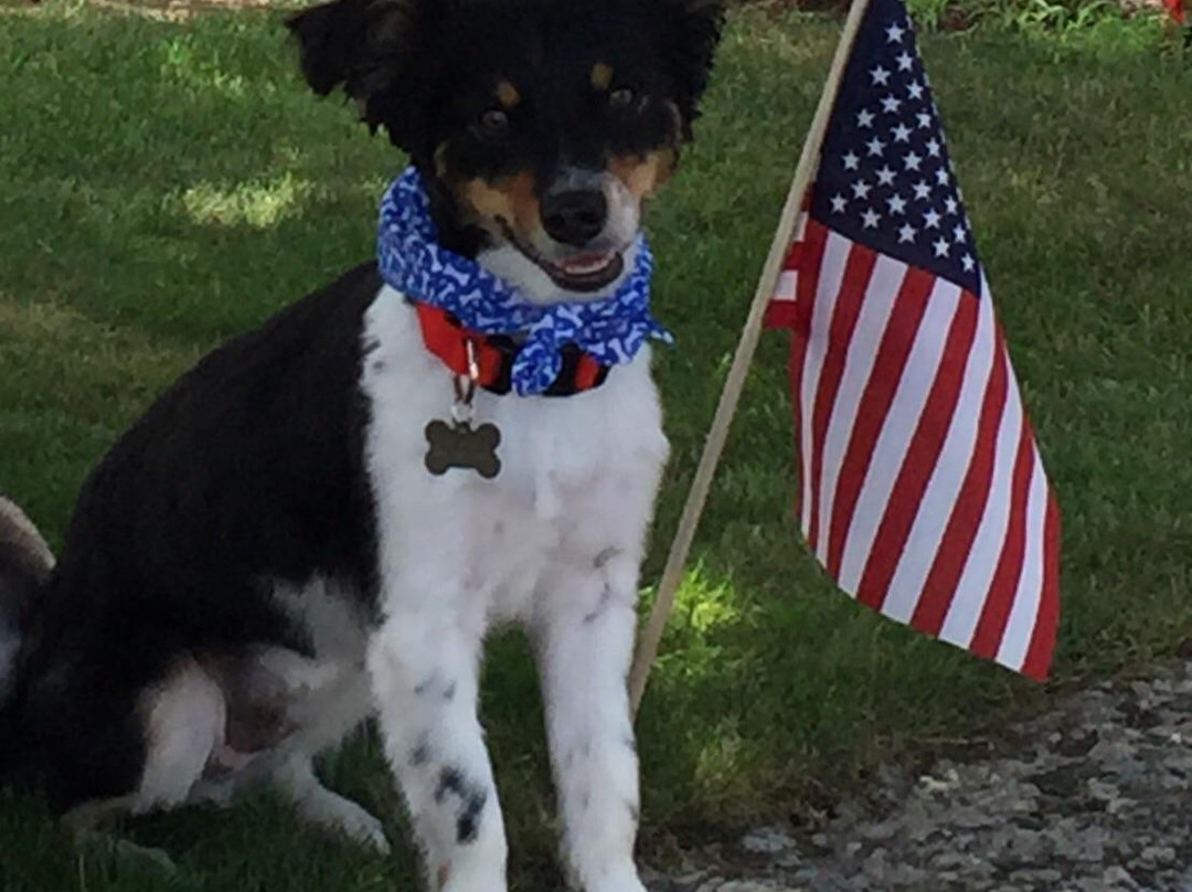 Hope Street-布里斯托尔必去景点