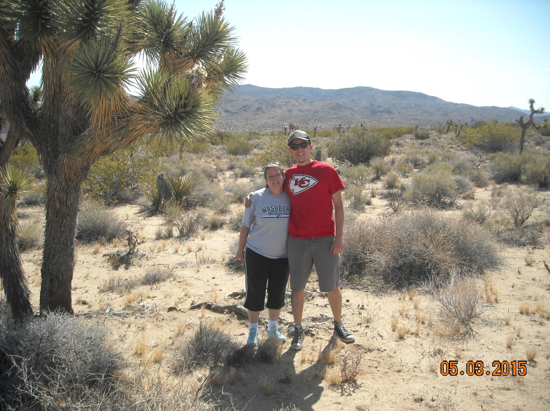 Geology Tour Road-约书亚树国家公园必去景点