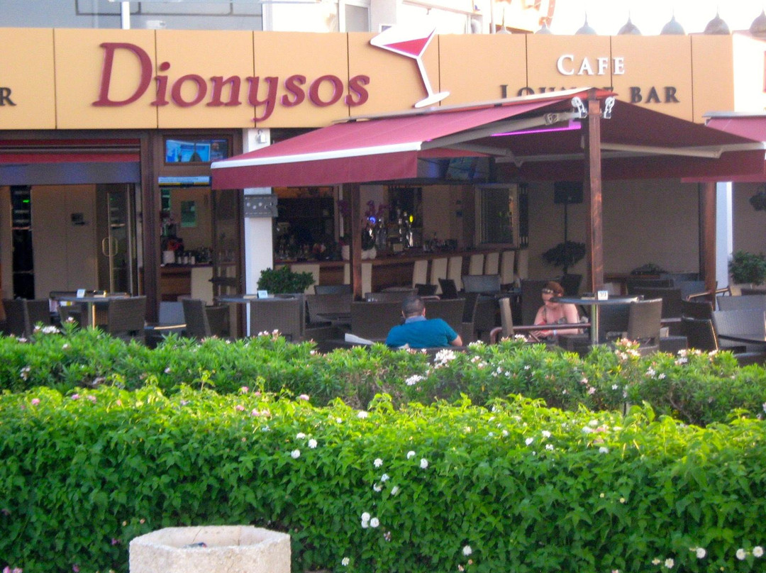 Dionysos Bar and Cafe