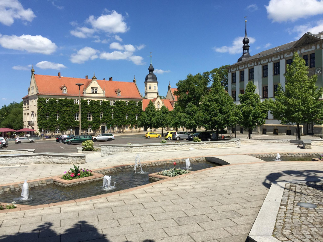 Rathaus Riesa景点图片