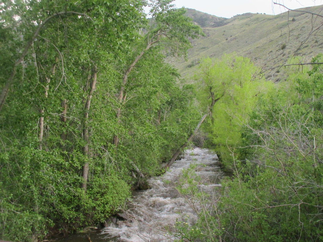Humboldt National Forest-埃尔科必去景点