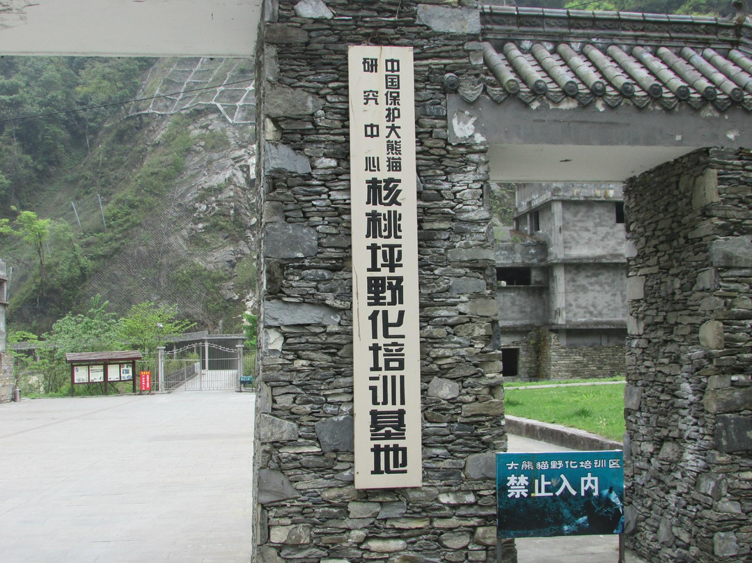 核桃坪保护大熊猫研究中心-邛崃市必去景点