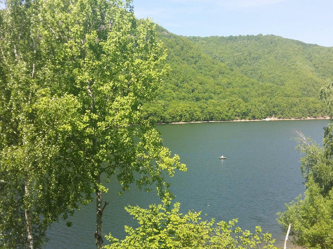 Tarnita Lake景点图片