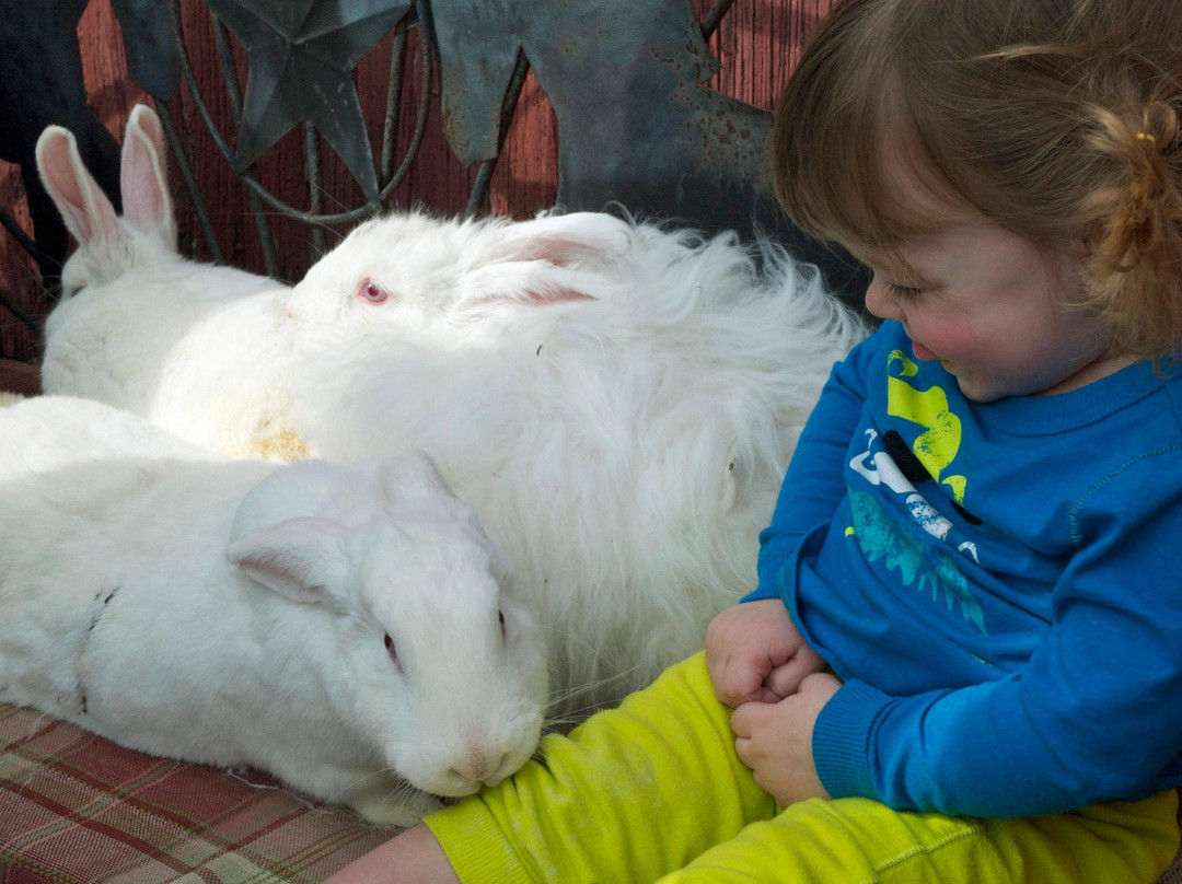 The Spicy Lamb Farm-Peninsula必去景点