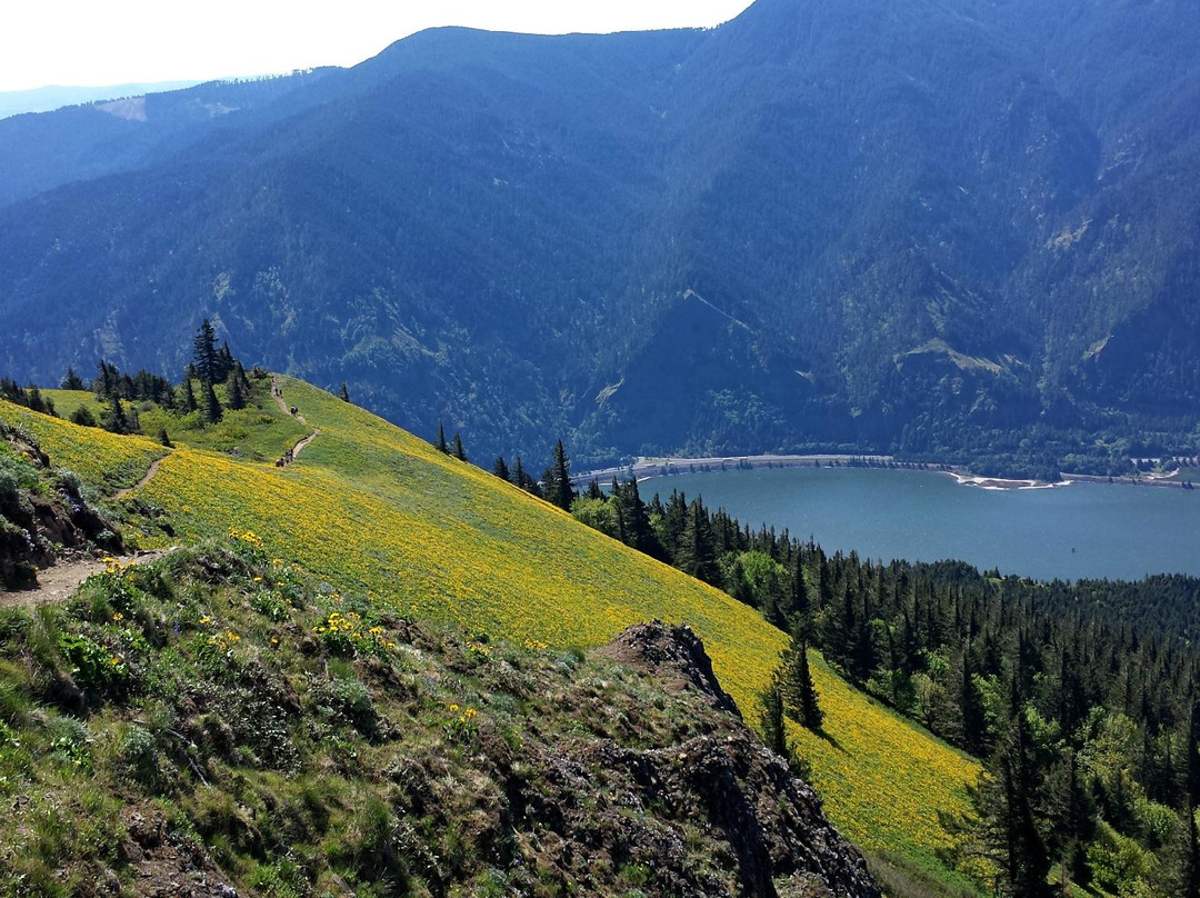 Bingen旅游攻略图片