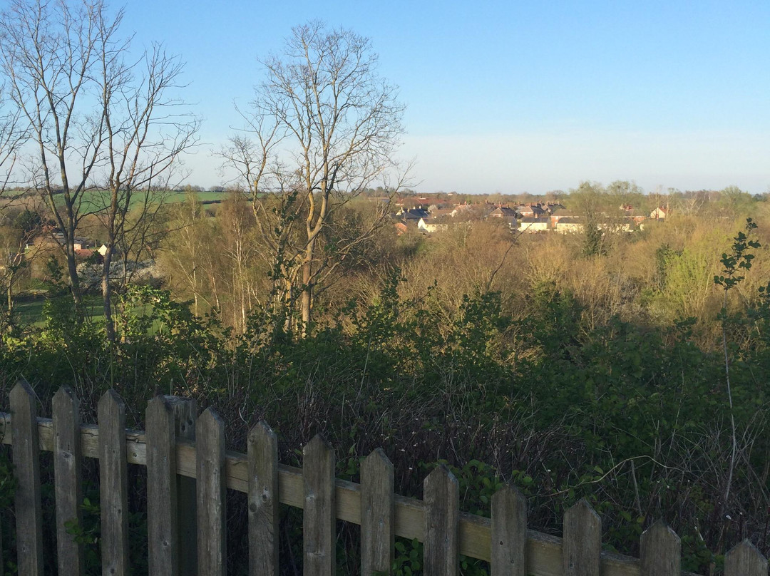 Clare Castle Country Park-Clare必去景点