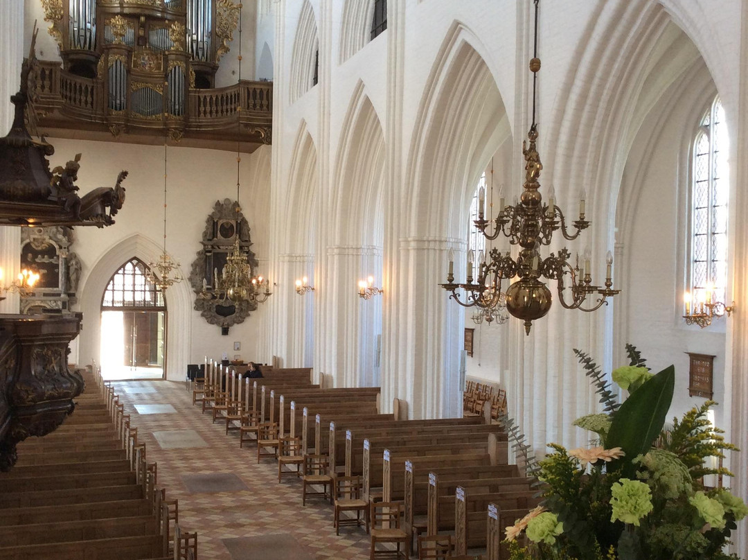 Odense Cathedral - Sct. Knuds Church-欧登塞必去景点