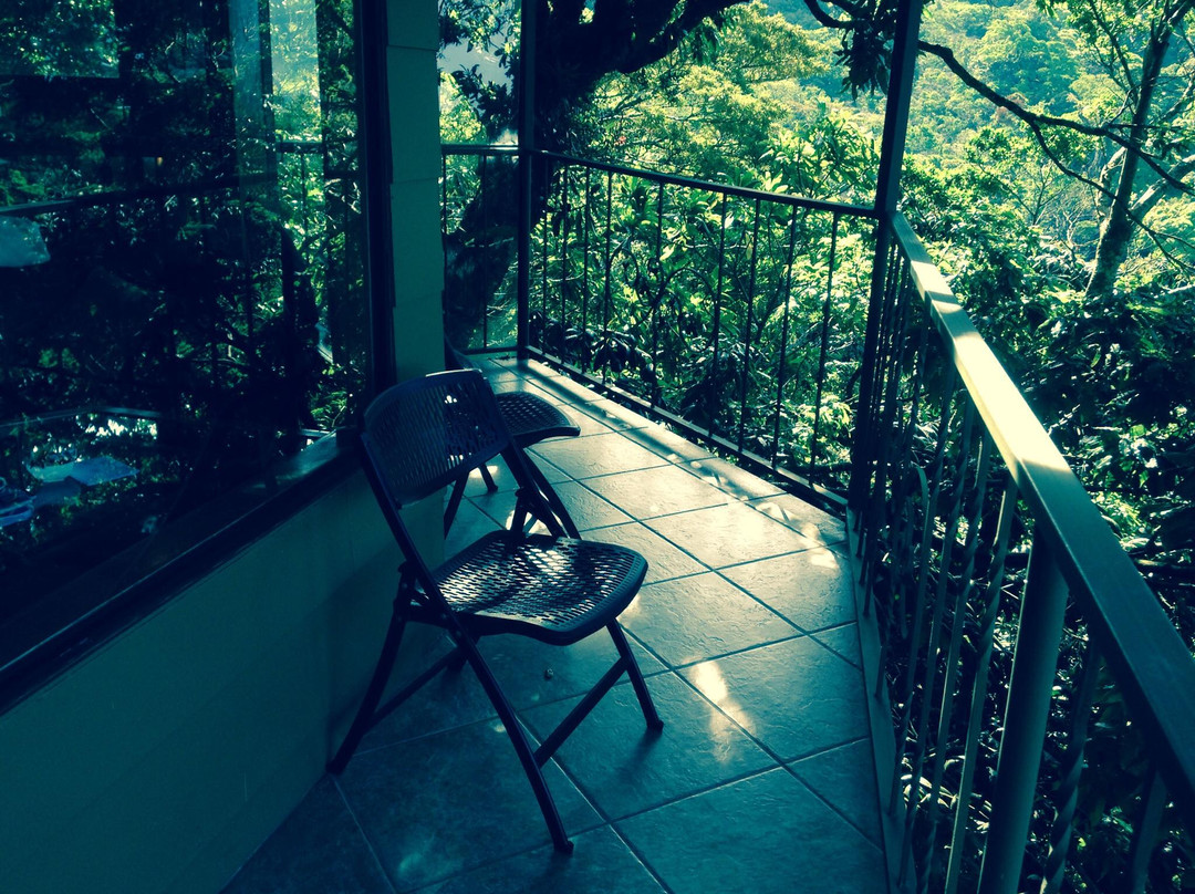 Hidden Canopy Treehouses Boutique Hotel