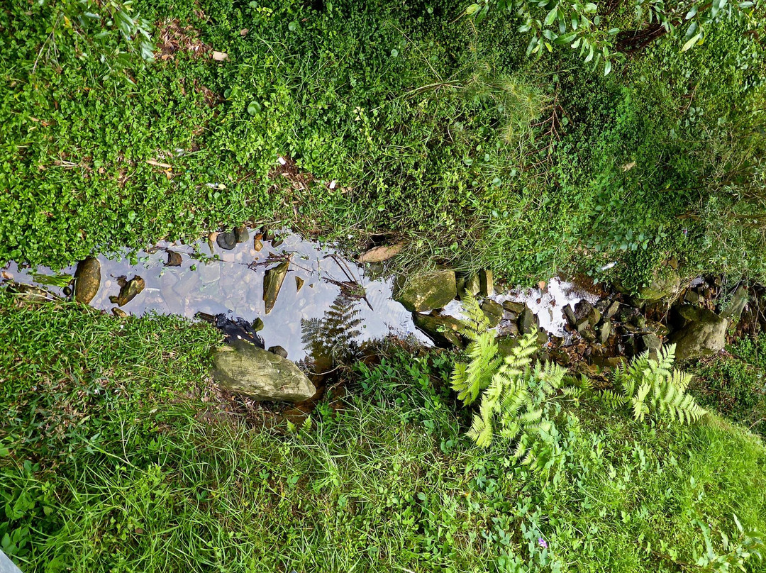 Fred Hollows Reserve-兰德威克必去景点