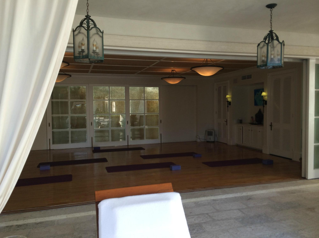 The Spa at The Palms-普罗维登西亚莱斯必去景点