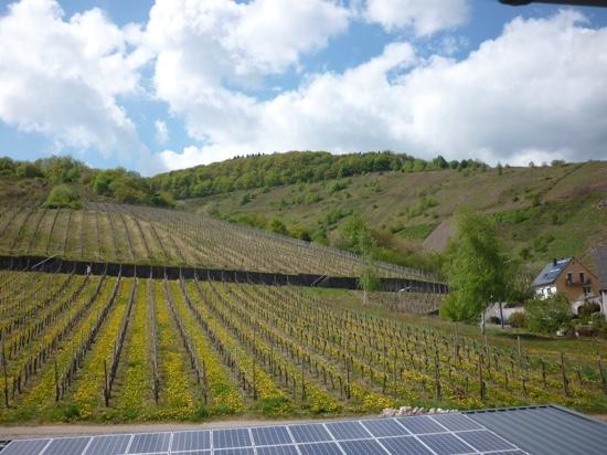 Weingut Brennerei Gastehaus Dauns-客卧