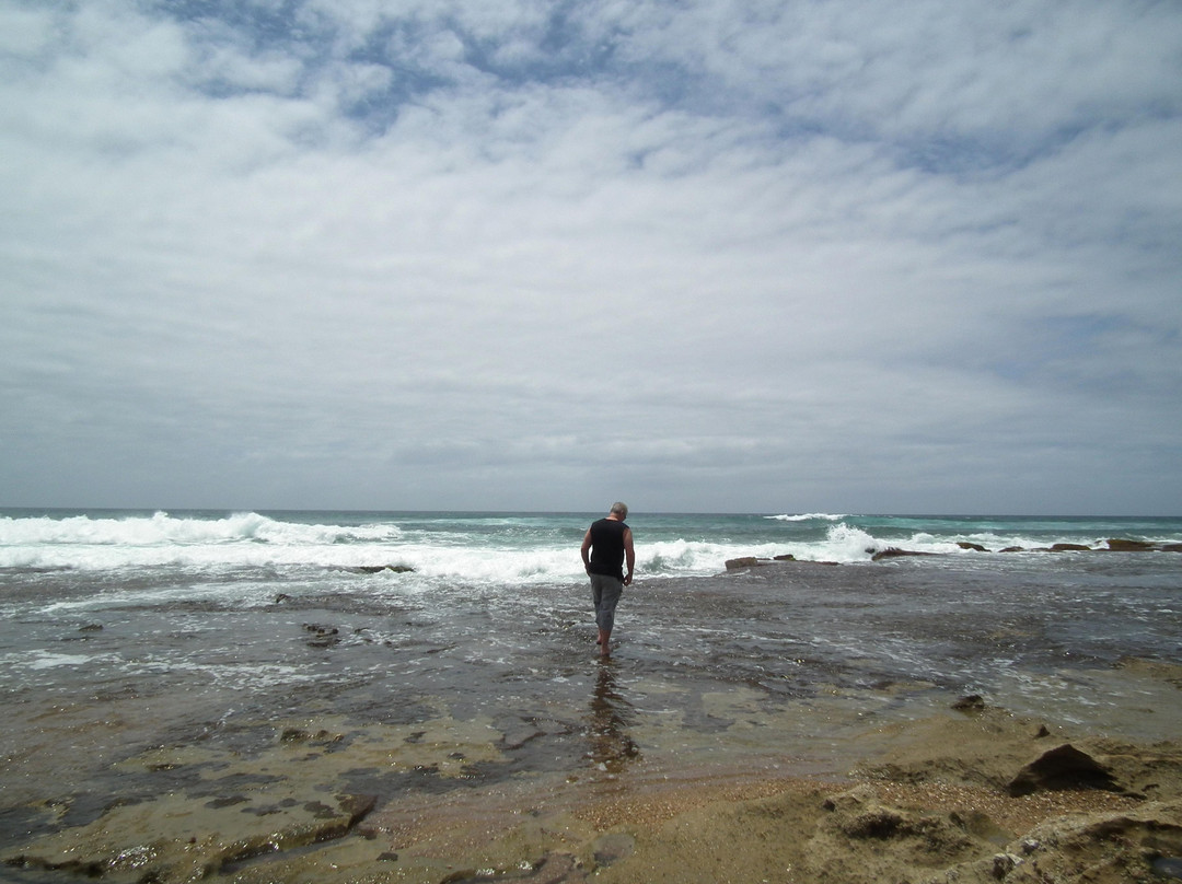 伊西曼格利索湿地公园-圣露西亚必去景点