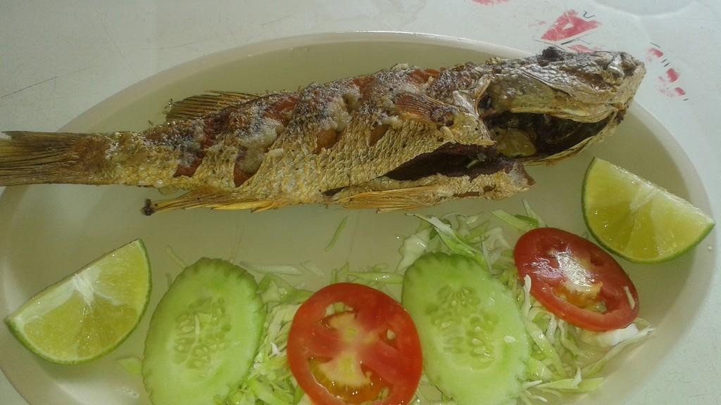 塞莱斯顿餐馆和美食-Restaurante Celestun