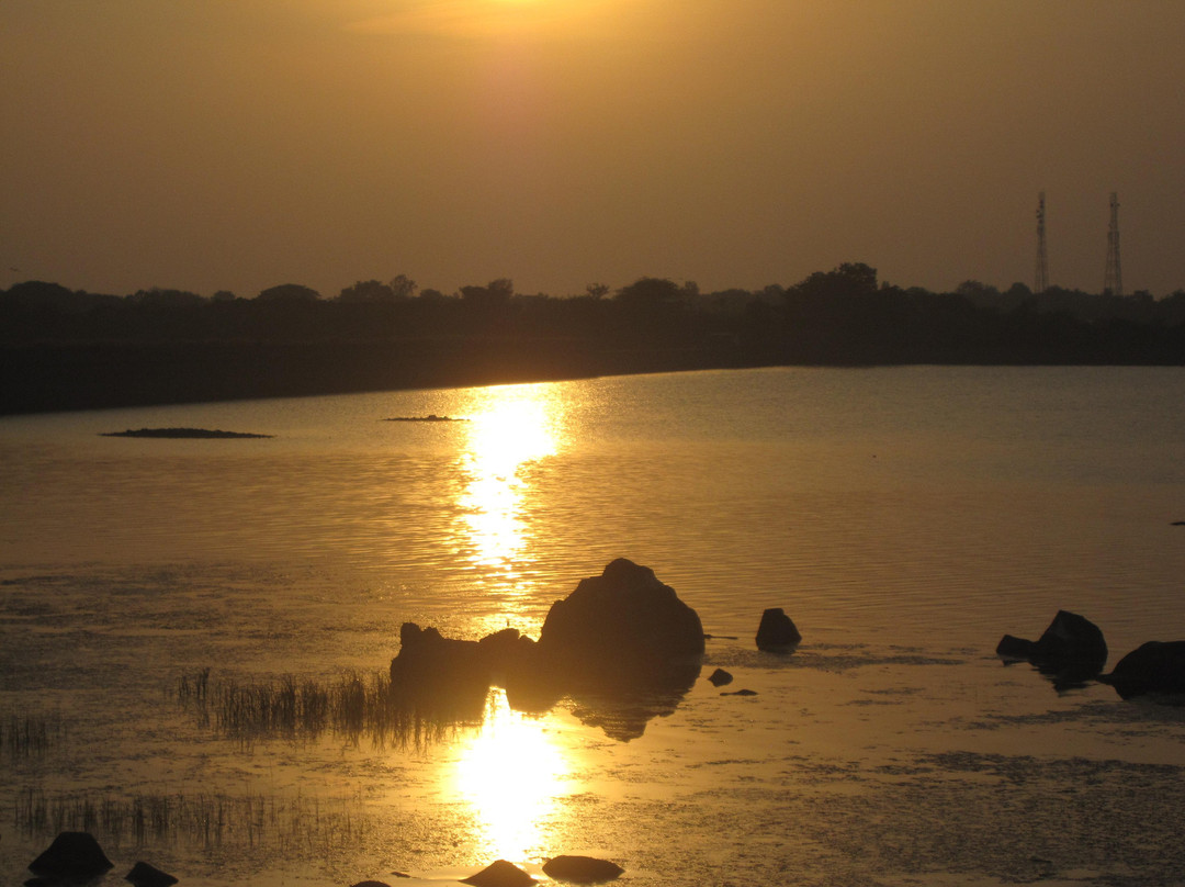 Pocharam Reservoir景点图片