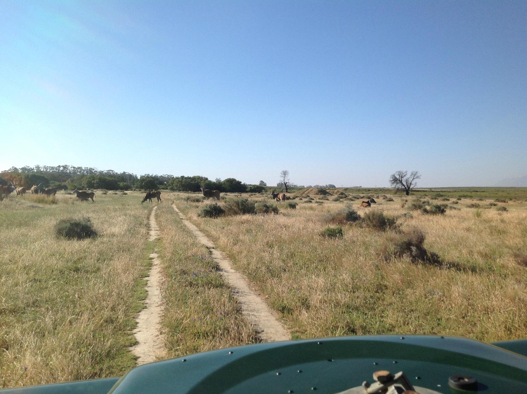 Bontebok Ridge Reserve-惠灵顿必去景点