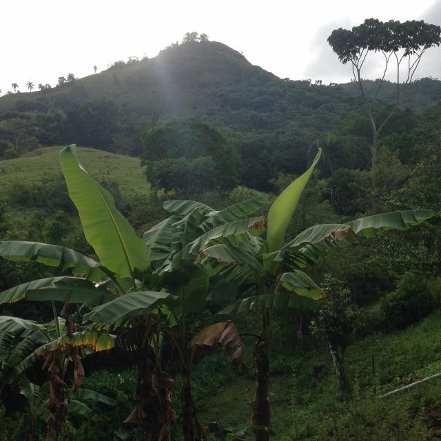 Monsenor Nouel Province旅游攻略图片