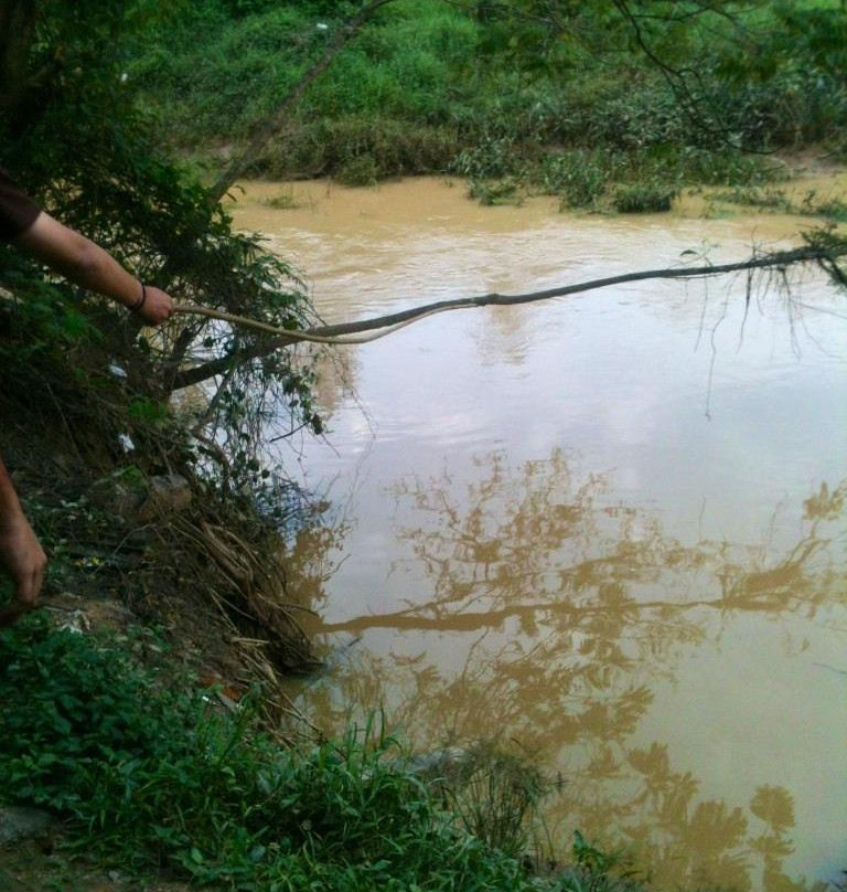 Wayanad Nature Resorts主图