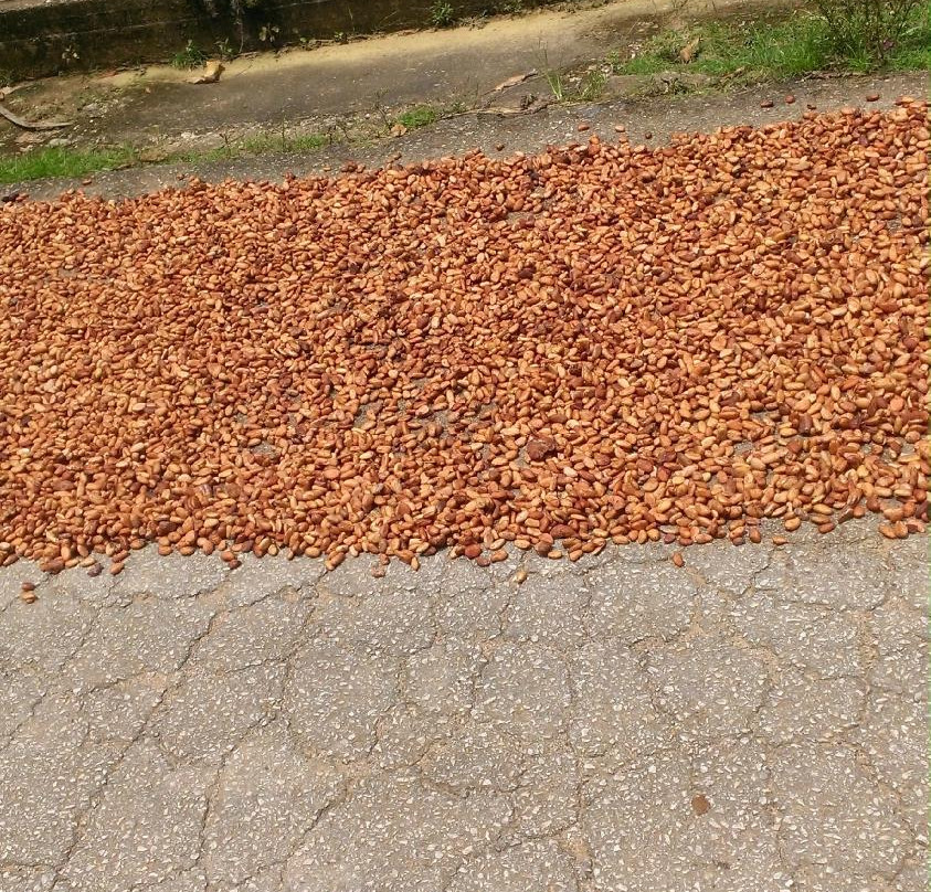 Posada Caribana主图