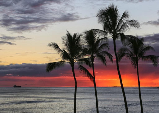 Blue Hawaii Photo Tours-火奴鲁鲁必去景点