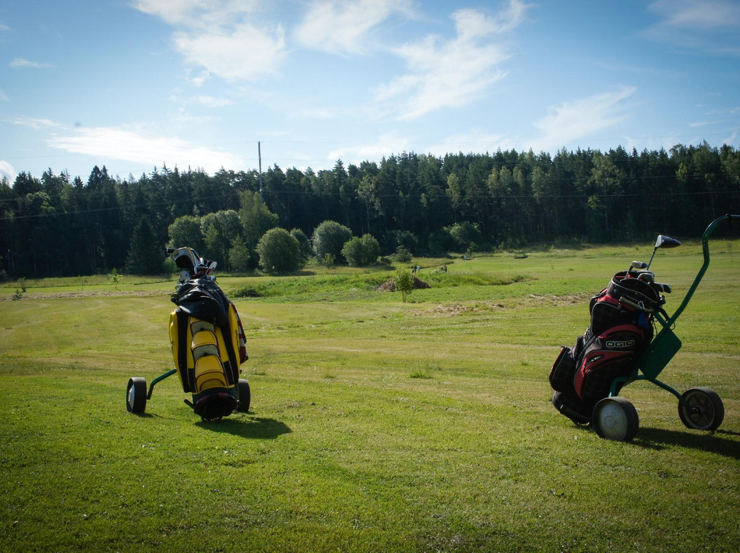 Hirvensalon Golf景点图片