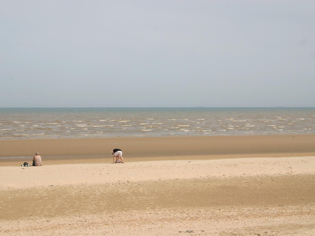 Greatstone Beach景点图片
