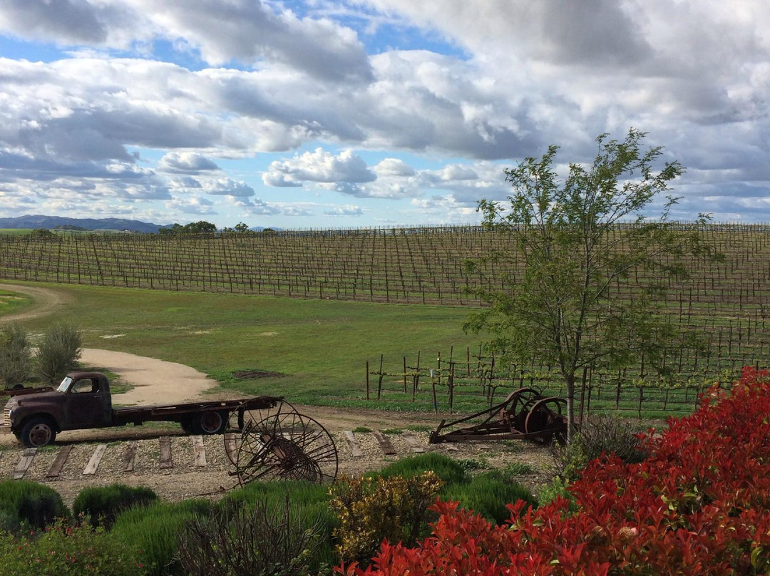 Pomar Junction Vineyard & Winery-帕索罗布尔斯必去景点